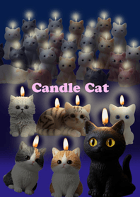 Candle Cat