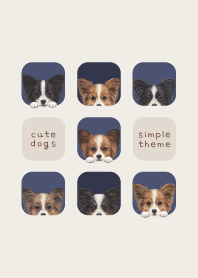 DOGS - Papillon - NAVY