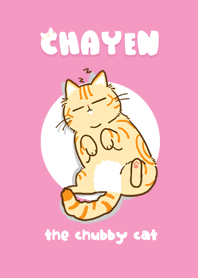 Chayen The Chubby Cat