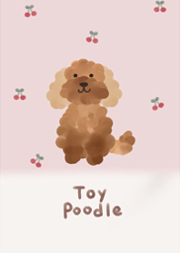 I love fluffy toy poodle3.