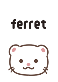 ふわふわフェレット