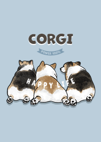 corgicorgi2 / blue