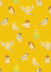 Birds3 on yellow