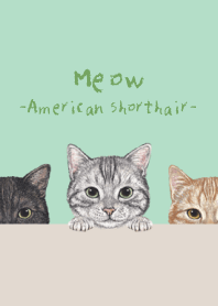 Meow ! - American Shorthair - MINT GREEN