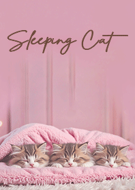 Cats sleeping peacefully - Pink