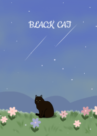 black cat and flowers.