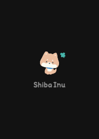 Shiba Inu3 Clover - Black