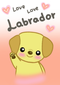 Love Love Labrador