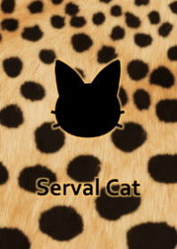 - Serval Cat -