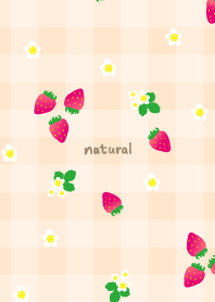 Strawberry plaid pattern13 from Japan