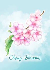 Beautiful Cherry Blossoms 1 / blue-green