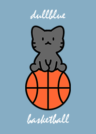 black cat sitting on a basketball DBlue.