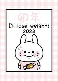 -2023 Happy new year. Rabbit. No,79-