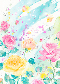 Beautiful rose flower(R4265)