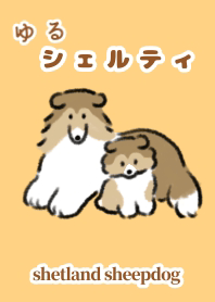 Leisurely sheltie Shetland Sheepdog