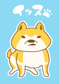 イッヌといっしょ