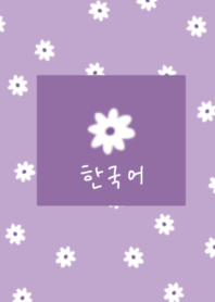 korea mini flower/purple