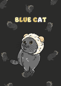bluecat2 / carbon black