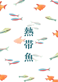 I love aquarium