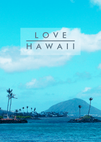 I LOVE HAWAII-aloha 19