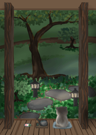 cat - courtyard - dark