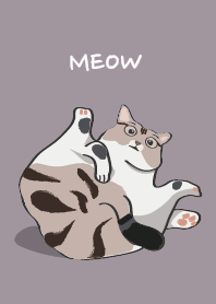 DJ house cat feet purple