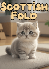 Innocent Scottish Fold Cat VOL.2