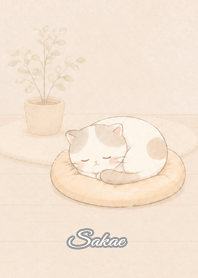Cozy Lazy Cat: Sakae
