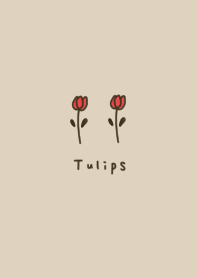 Beige. Adult. Tulip.