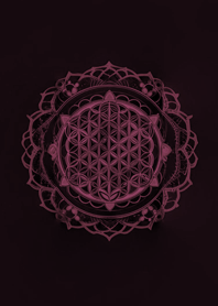 flower of life(pink)