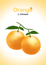 Fruit series - Favorite Orange