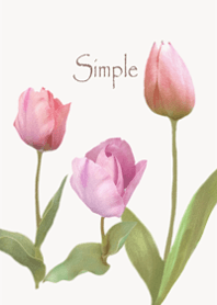 Gentle Tulip2