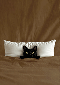 Fun playful cat  blanket-Black Cat1i