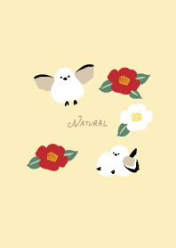 Long-tailed tit, camellia20 from Japan