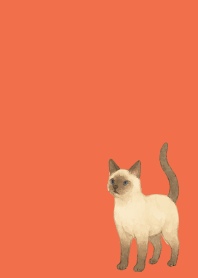 Siamese cat holiday red&yellow