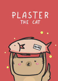 Plaster the cat Theme#1