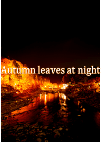 Autumn leaves at night