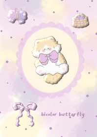 bicolor butterfly1