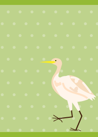 Cattle Egret on MG JP