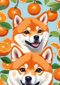 Smiling Shiba Inu neHsH