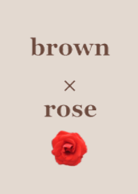 brown × rose