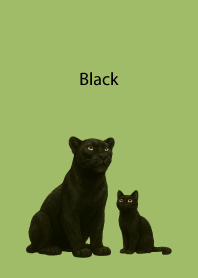 Black Pair03 on moss green