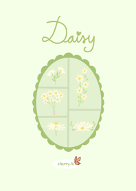The collection of flowers: Daisy