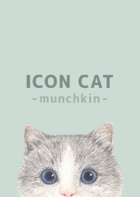 ICON CAT - Munchkin - PASTEL GR/06