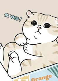 neko single17 / almond