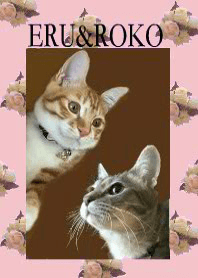 ERU & ROKO