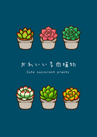 내 다육식물(티베트색)