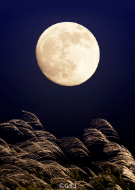 Autumn moon when your wish comes true