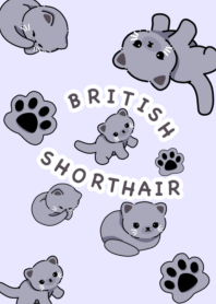 British Shorthair Ver.
