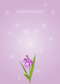 May birth flower,Hyacinth orchid.